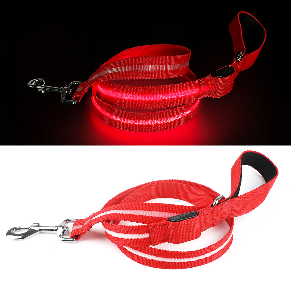 Correa LED para perros: Protege a tu mejor amigo en cada paseo nocturno