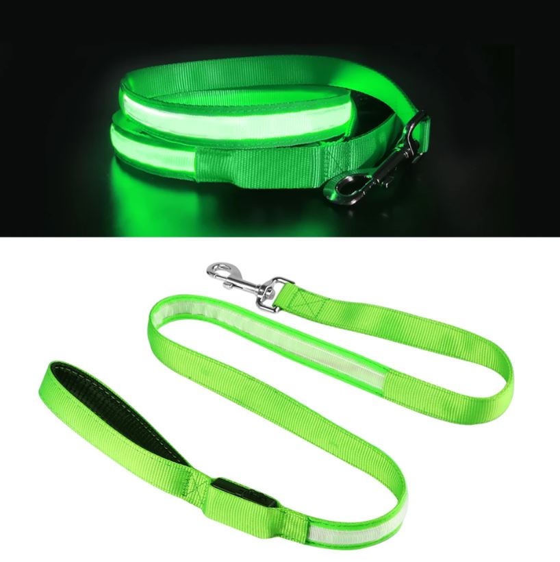 Correa LED para perros: Protege a tu mejor amigo en cada paseo nocturno