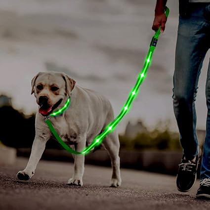 Correa LED para perros: Protege a tu mejor amigo en cada paseo nocturno
