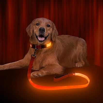 Correa LED para perros: Protege a tu mejor amigo en cada paseo nocturno
