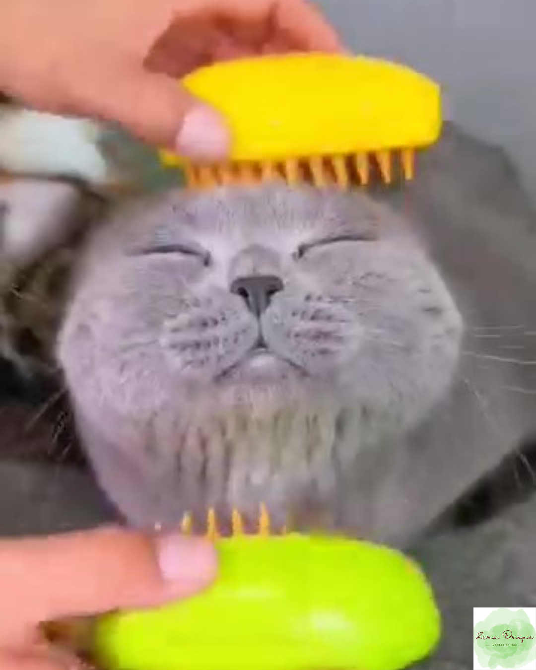 Cepillo Vaporizador 3 en 1: Limpieza, Masaje y Relax para tu Mascota